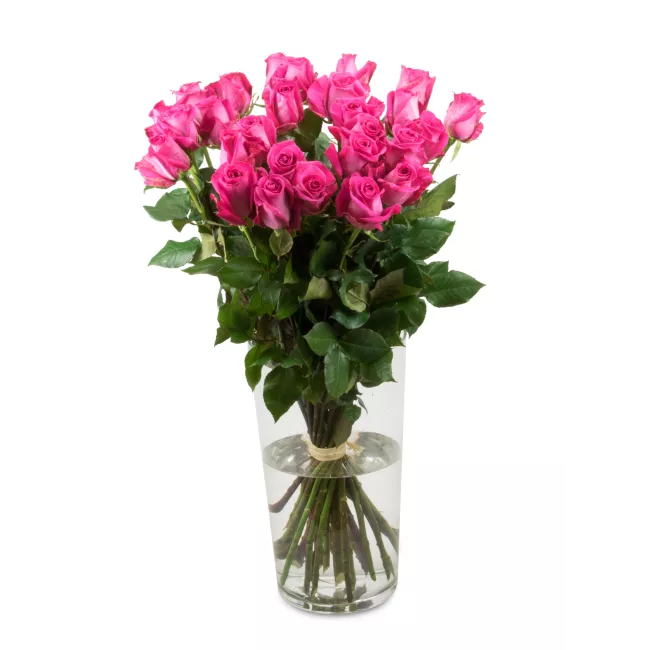 Bouquet of Ecuadorian roses